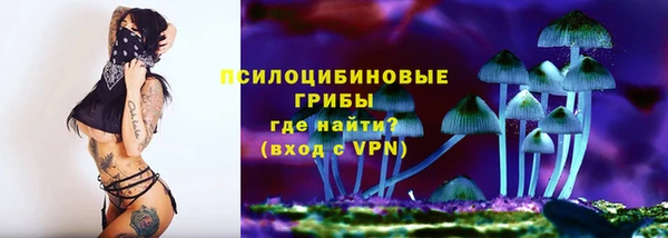 бутират Горняк