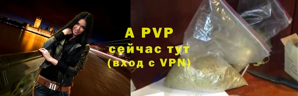 ECSTASY Тында