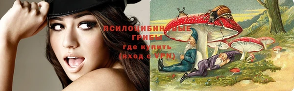 бутират Горняк