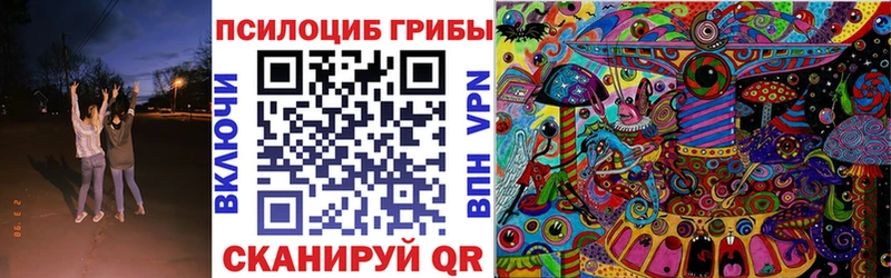 Псилоцибиновые грибы Cubensis  Дрезна 